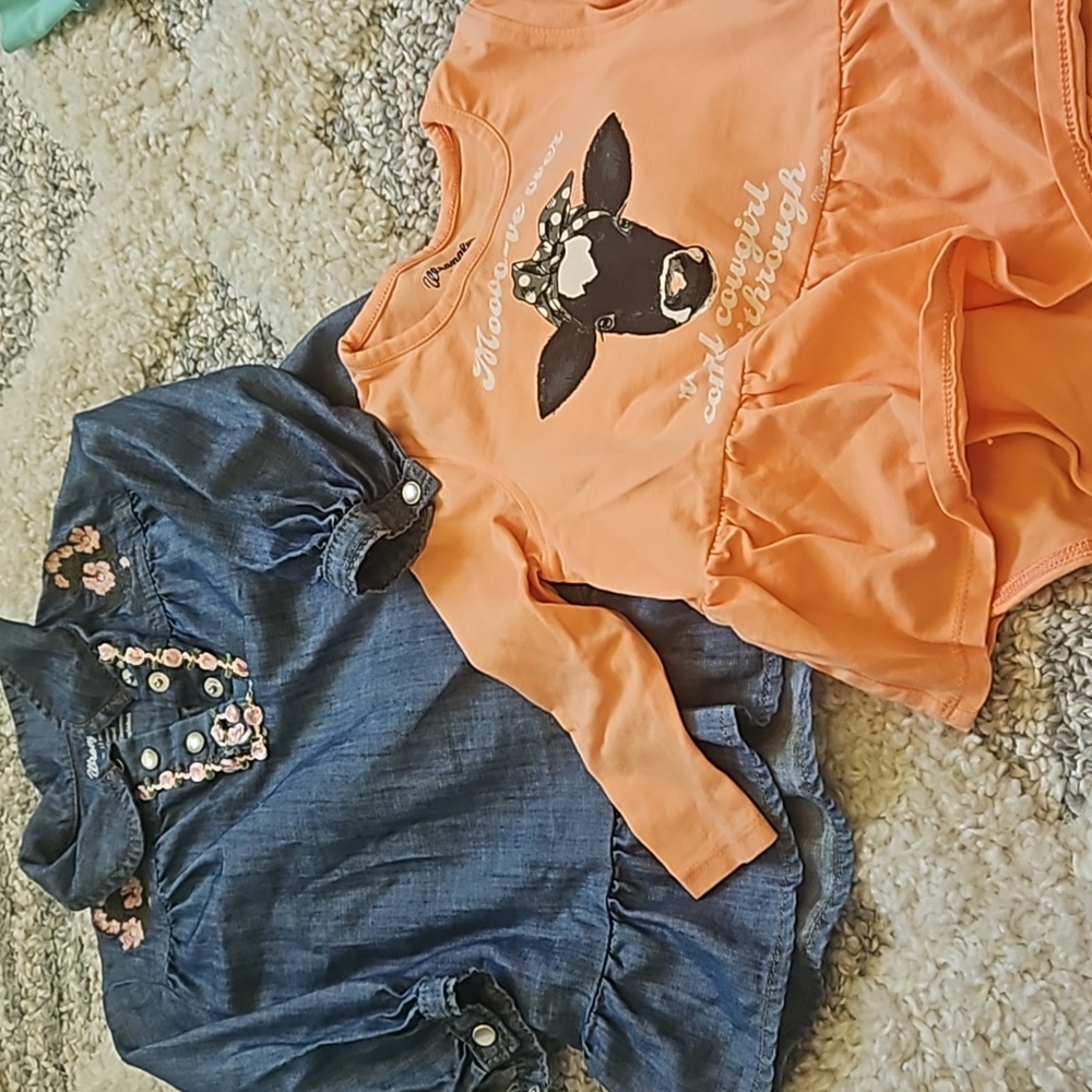 Wrangler Dress Bundle Size 12 Month